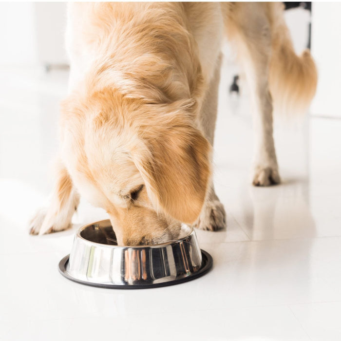 So klappt die Futterumstellung