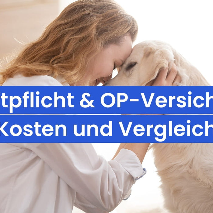 Tierhaftpflicht und Tier-OP-Versicherung: Sinn, Kosten und Vergleich