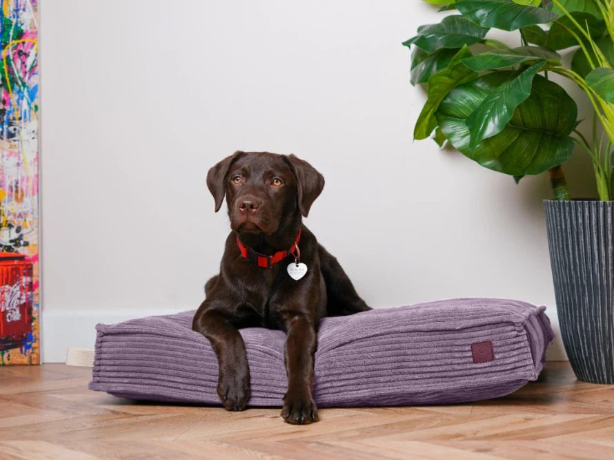 Orthopädische MEMORY FOAM Hundekissen aus Möbelcord / Premium Hundebett für mittlere und große Hunde / Hundematratze