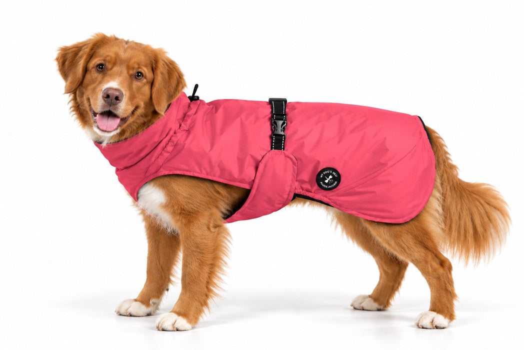 Hunderegenjacke
