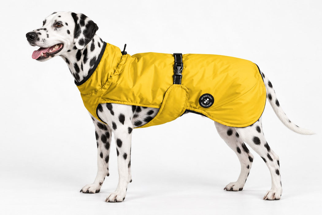 Hunderegenjacke