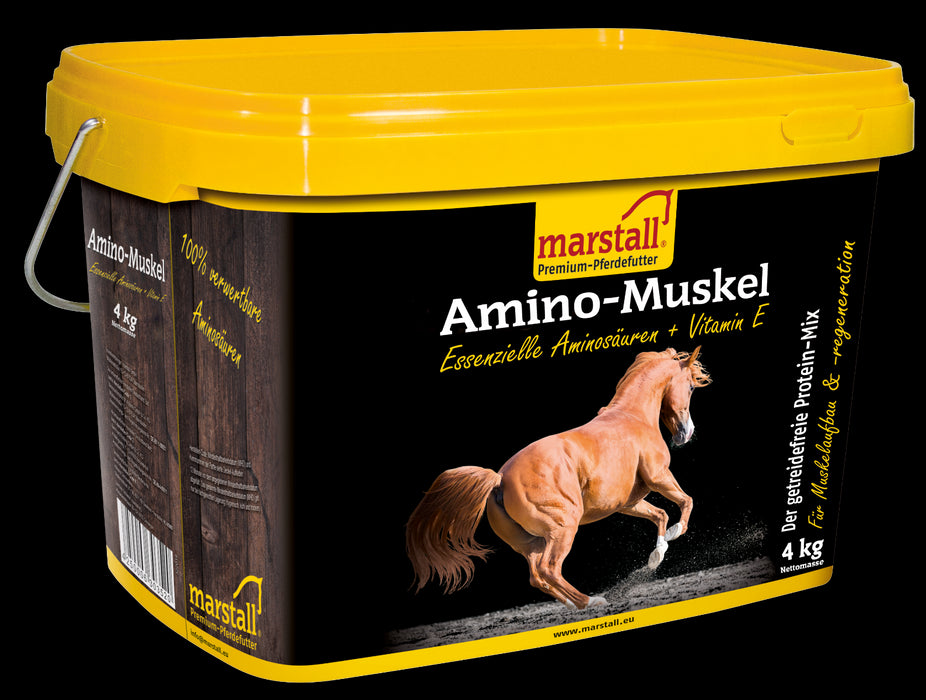 marstall Amino-Muskel Eimer