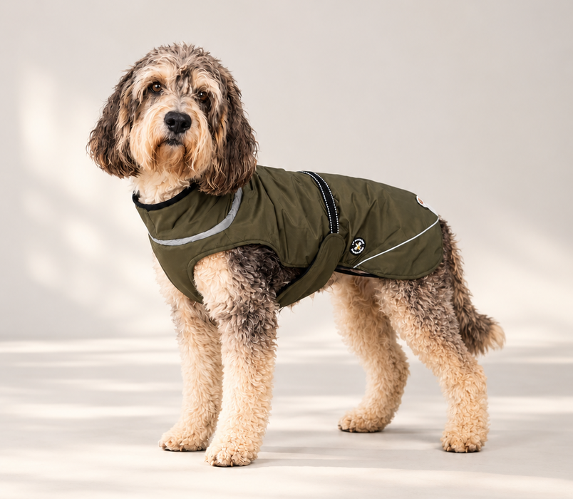 Hundewinterjacke