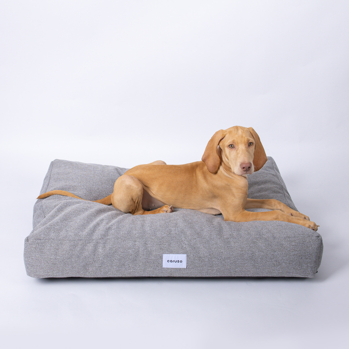 Hundebett Clean