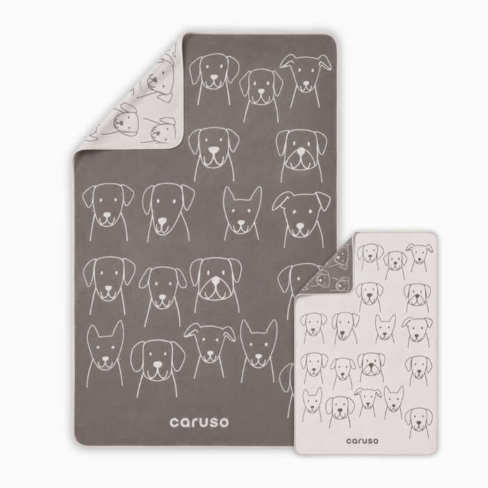 Decke Caruso Dogs