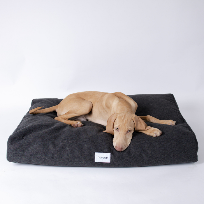 Hundebett Clean