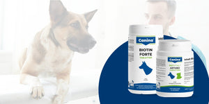 Entdecke Canina Pharma