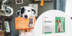 Innovative Labortests von vetevo