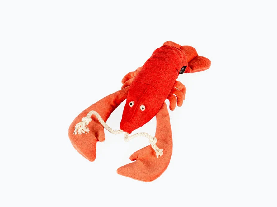 LOBSTER SEBASTIAN Katzenspielzeug / interaktives Plüschtier / sanftes Rascheln