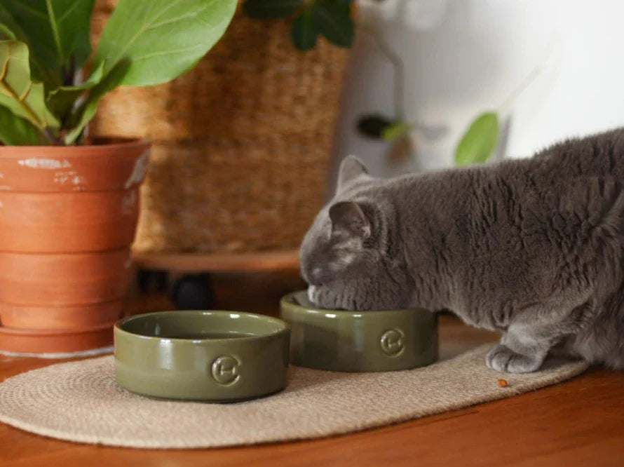 KATZENNAPF aus Keramik / Kugelboden / Handgefertigt