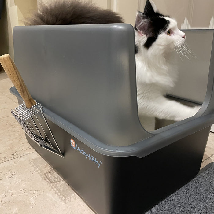 Haube für Katzentoilette XXL - Exklusiv