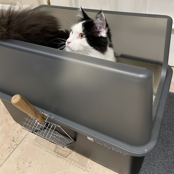 Katzentoilette XXL Edelstahl