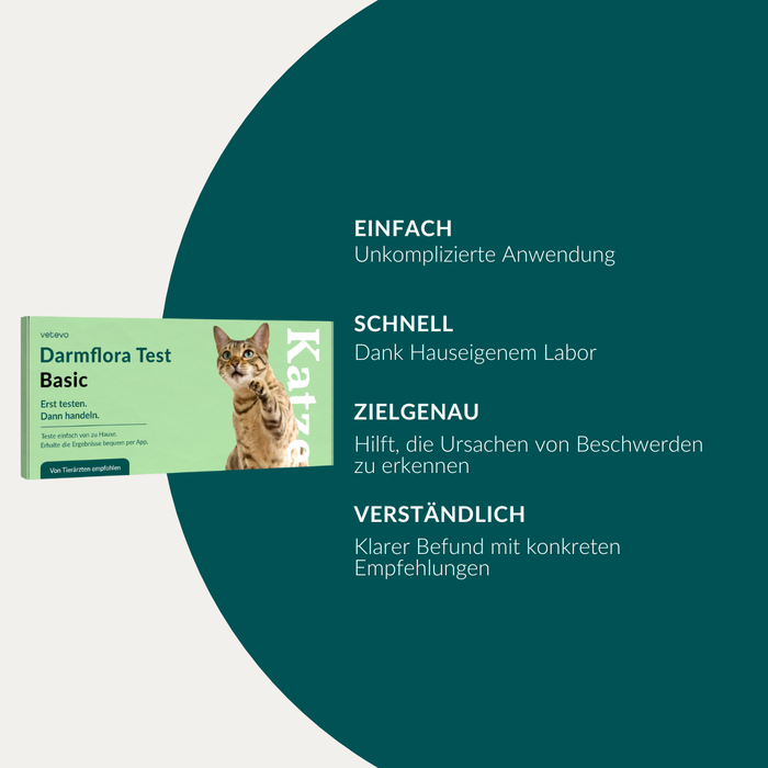 Darmflora Test Katze