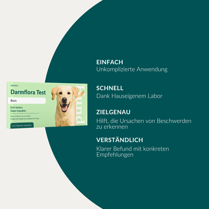 Darmflora Test Hund