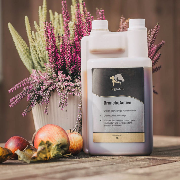 Equanis BronchoActive