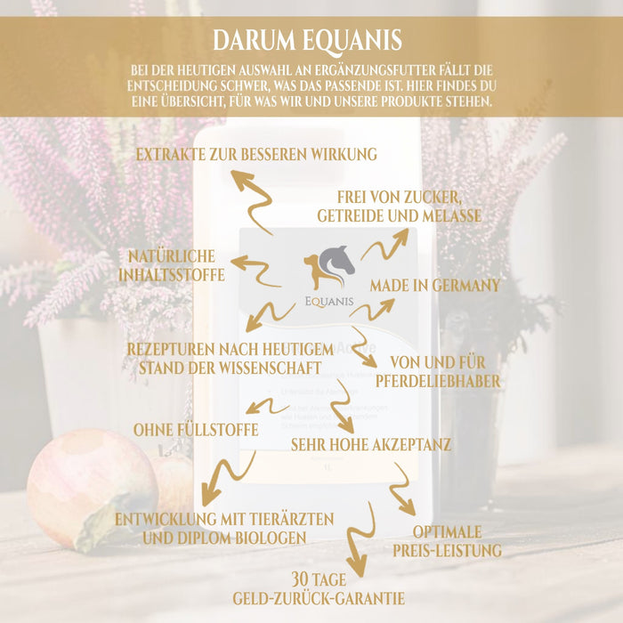 Equanis BronchoActive