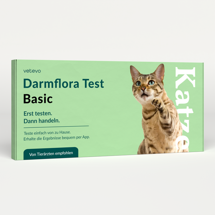 Darmflora Test Katze