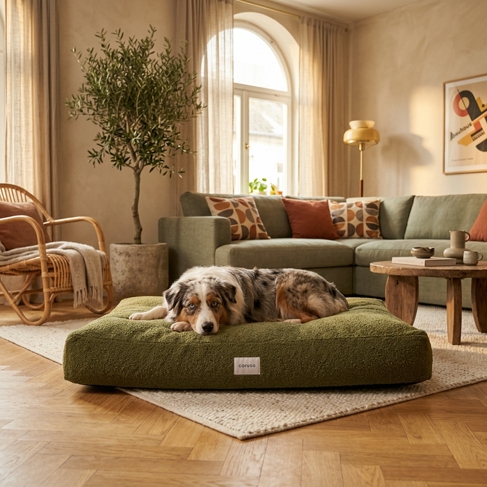Hundebett Teddy