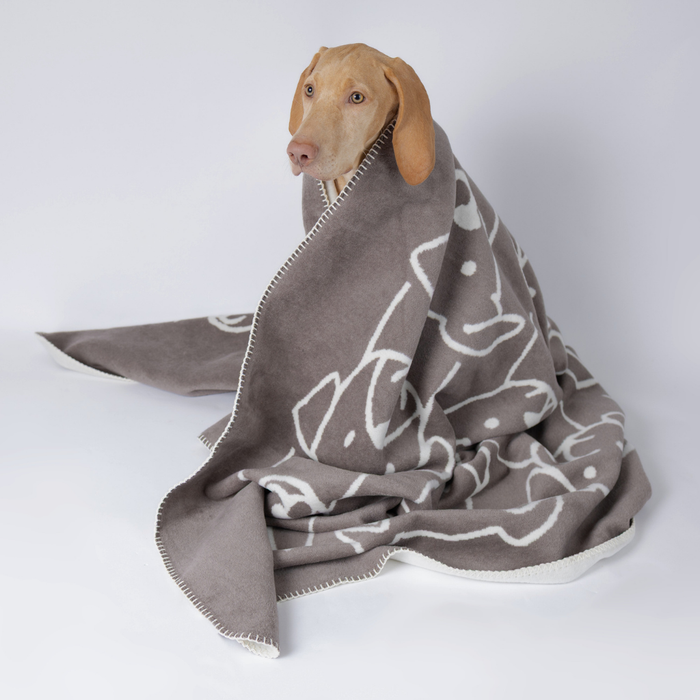 Decke Caruso Dogs
