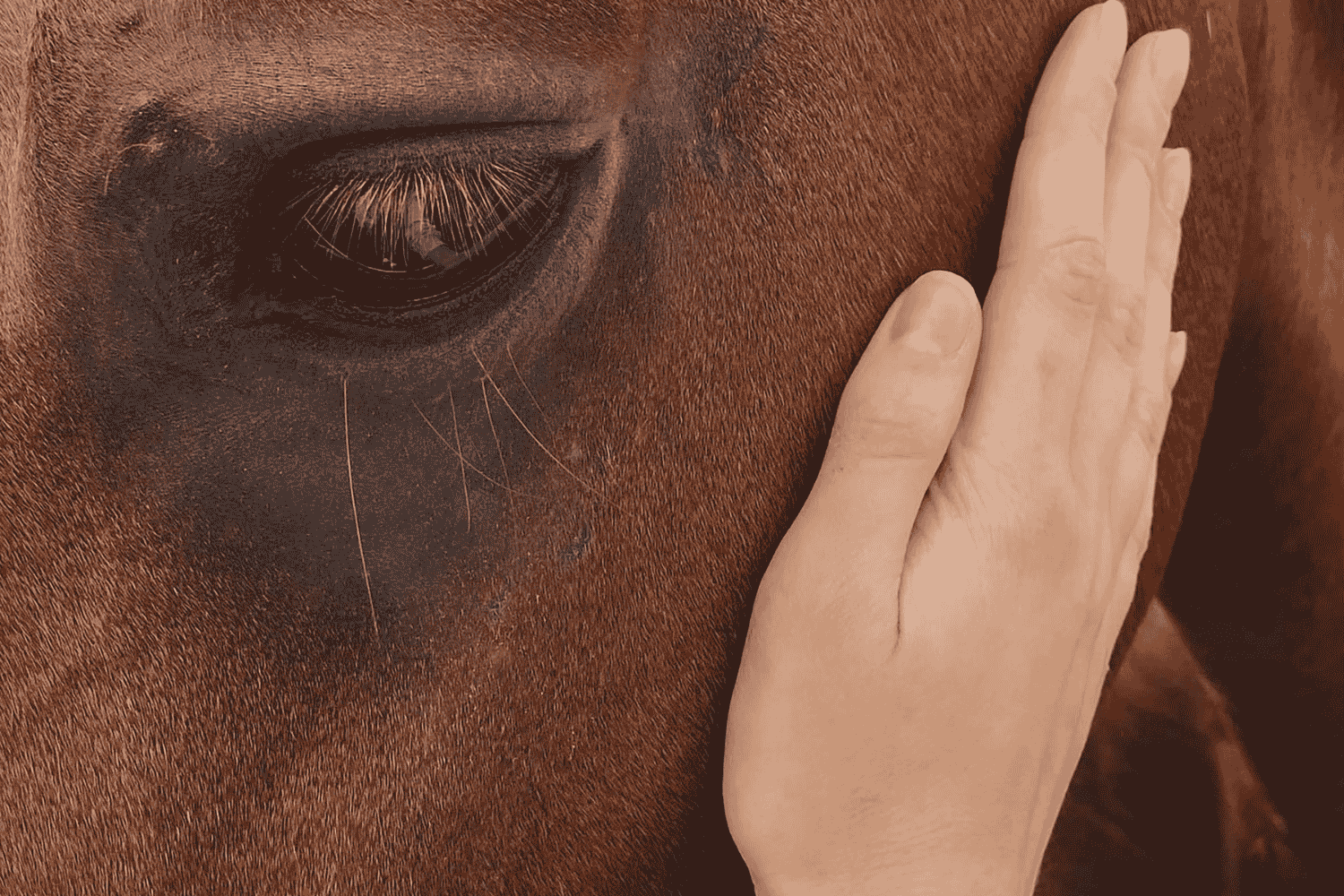 Versicherungsbeginn ist schon morgen