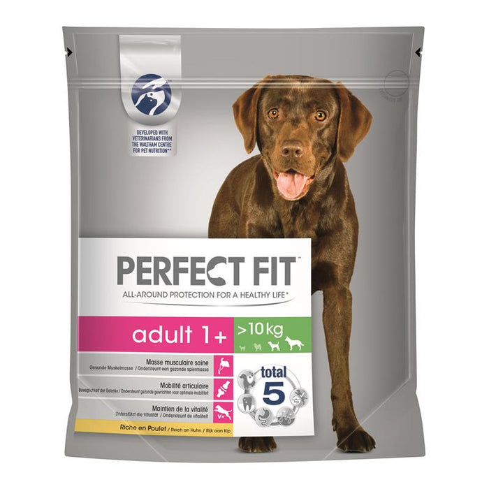 Perfect Fit Dog Adult 1+ M/L