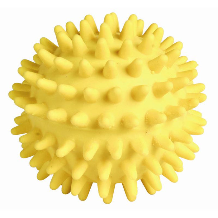 Trixie Igelball, Latex