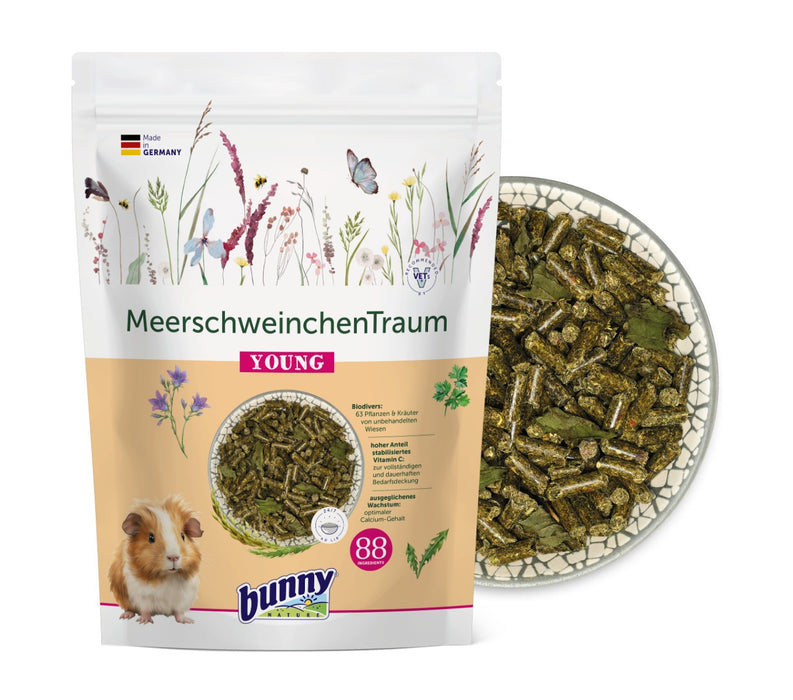 Bunny MeerschweinchenTraum young