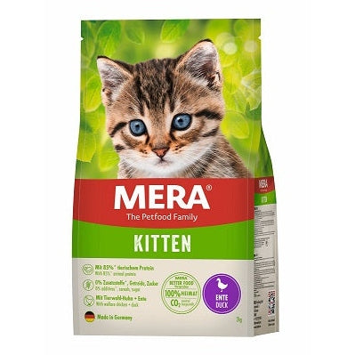 Mera Cat Kitten Ente.