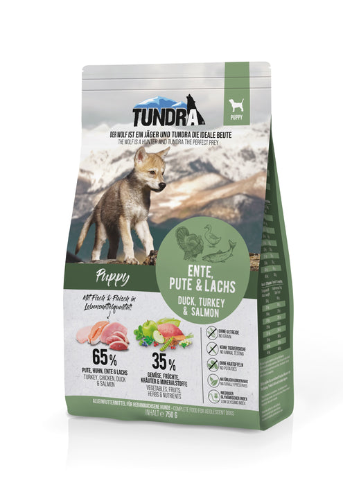 Toundra Puppy-Blue Mountain