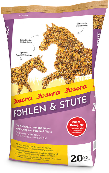 Cheval, poulain et jument Josera
