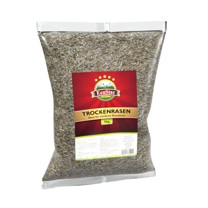 Ecostar Trockenrasen