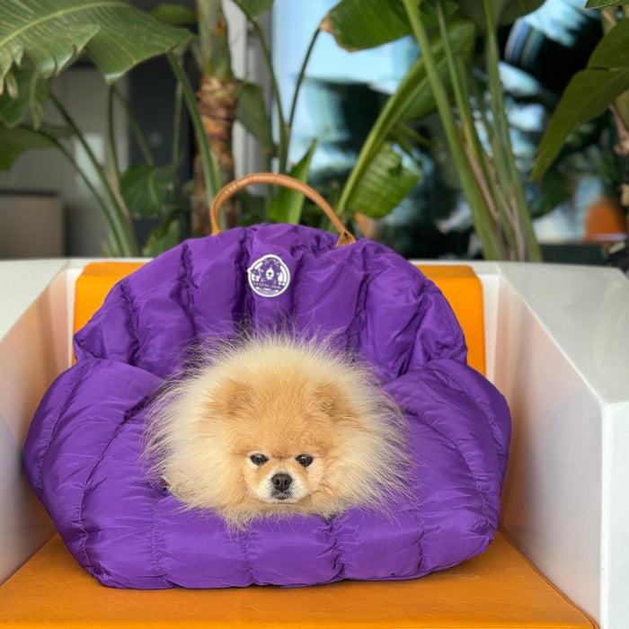 Hundetragetasche Jolie