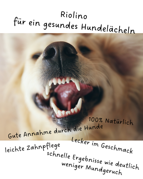 Riolino FreshBite – Natürliche Zahnpflege für Hunde