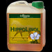 St. Hippolyt Hippo Linol.