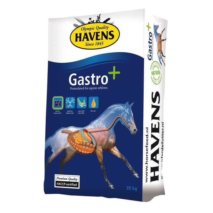 Havens Gastro+.