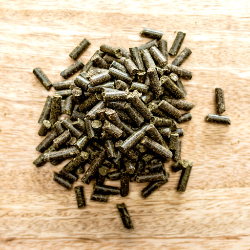 St. Hippolyt Mucolyt Atemwegskur.