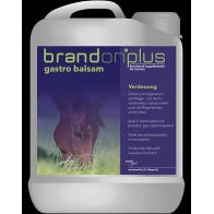 Brandon plus gastro Balsam