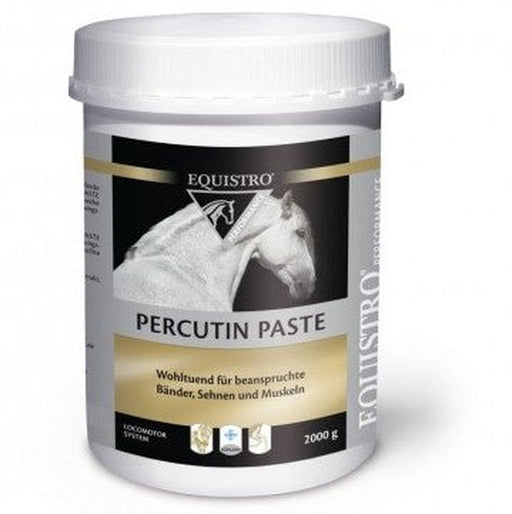 EQUISTRO Percutin-Paste.