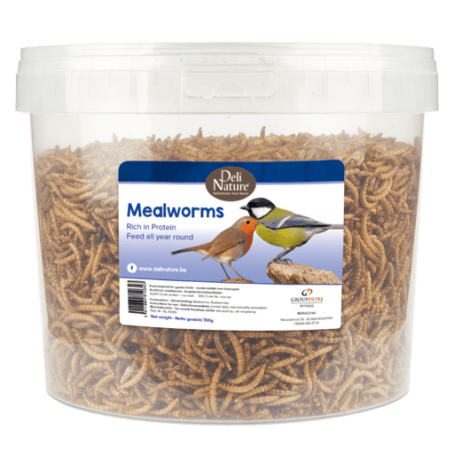 Deli Nature Meelwürmer 700g.