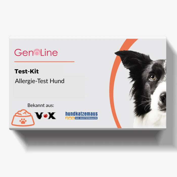 Allergietest Hund