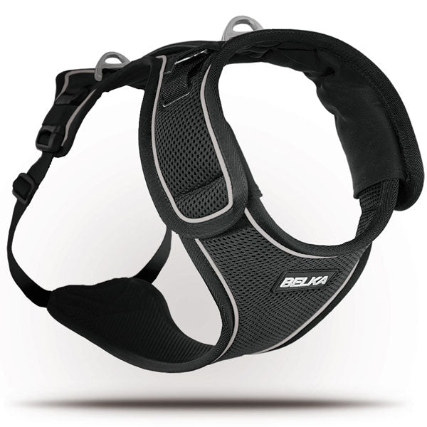 Curli Belka Geschirr  S