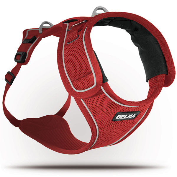 Curli Belka Geschirr  L