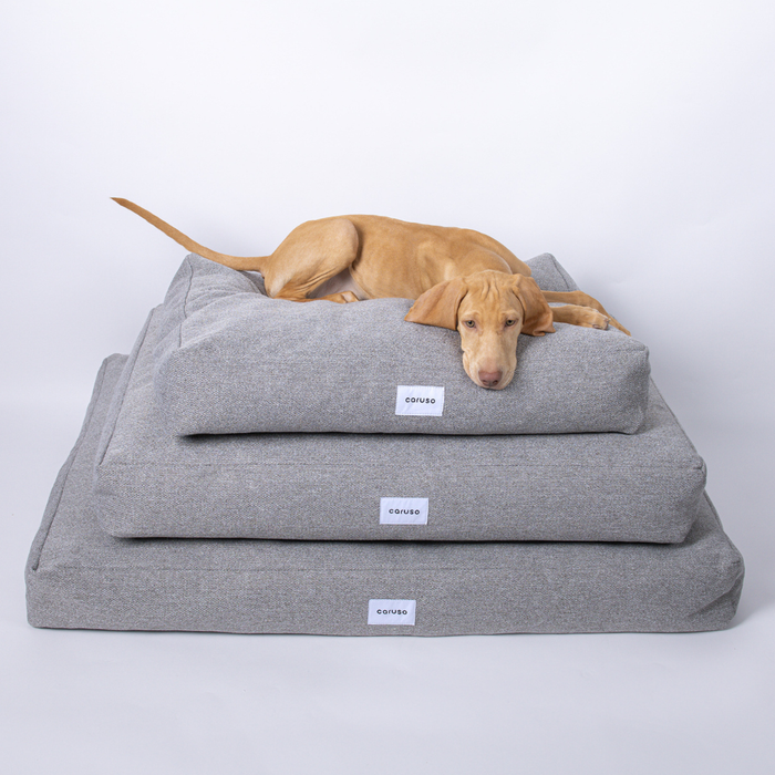 Hundebett Clean