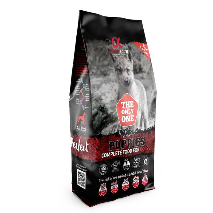 alpha spirit Dog The Only One Puppies