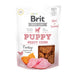 Brit Dog Snack Meaty Jerky Coins 12x80g Welpe.