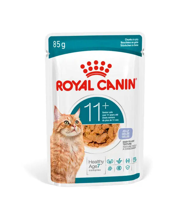 Royal Canin Feline Ageing 11+ in Gelee