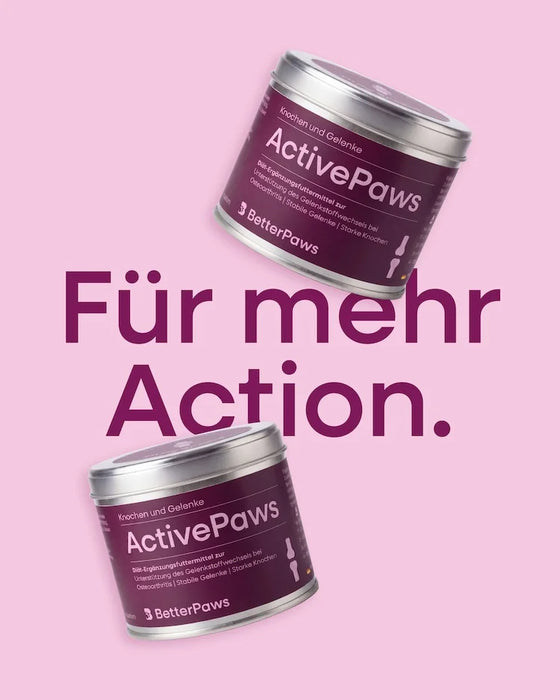 ActivePaws