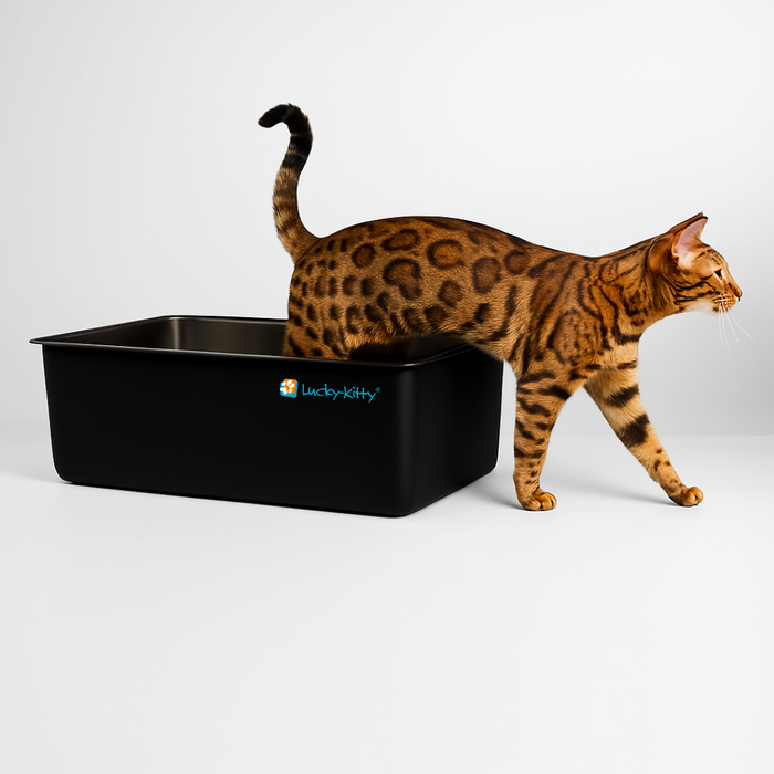 Katzentoilette XXL Edelstahl