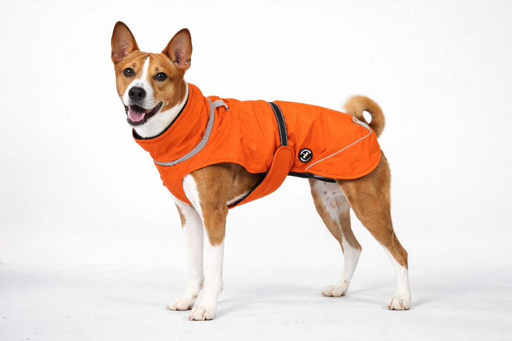 Hundewinterjacke