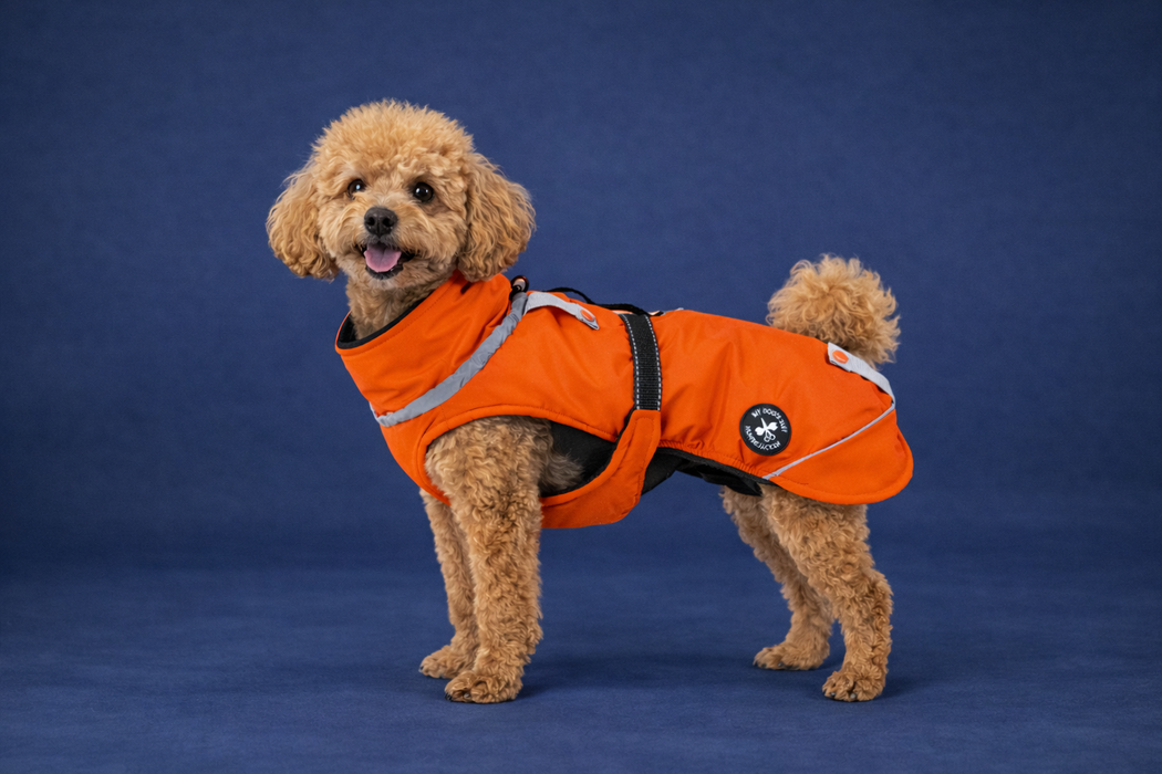Hundewinterjacke „Sunrise Orange" - besonders warm - NEU mit Rückenöffnung